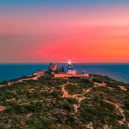 All'ombra Dell'ulivo Centro Citta' Tra Parchi, Mare E Cagliari 아파트