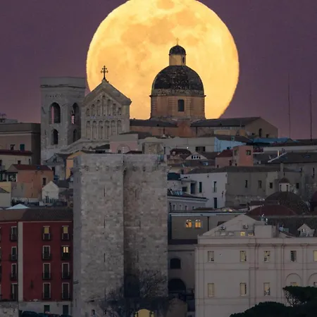 All'ombra Dell'ulivo Centro Citta' Tra Parchi, Mare E Cagliari